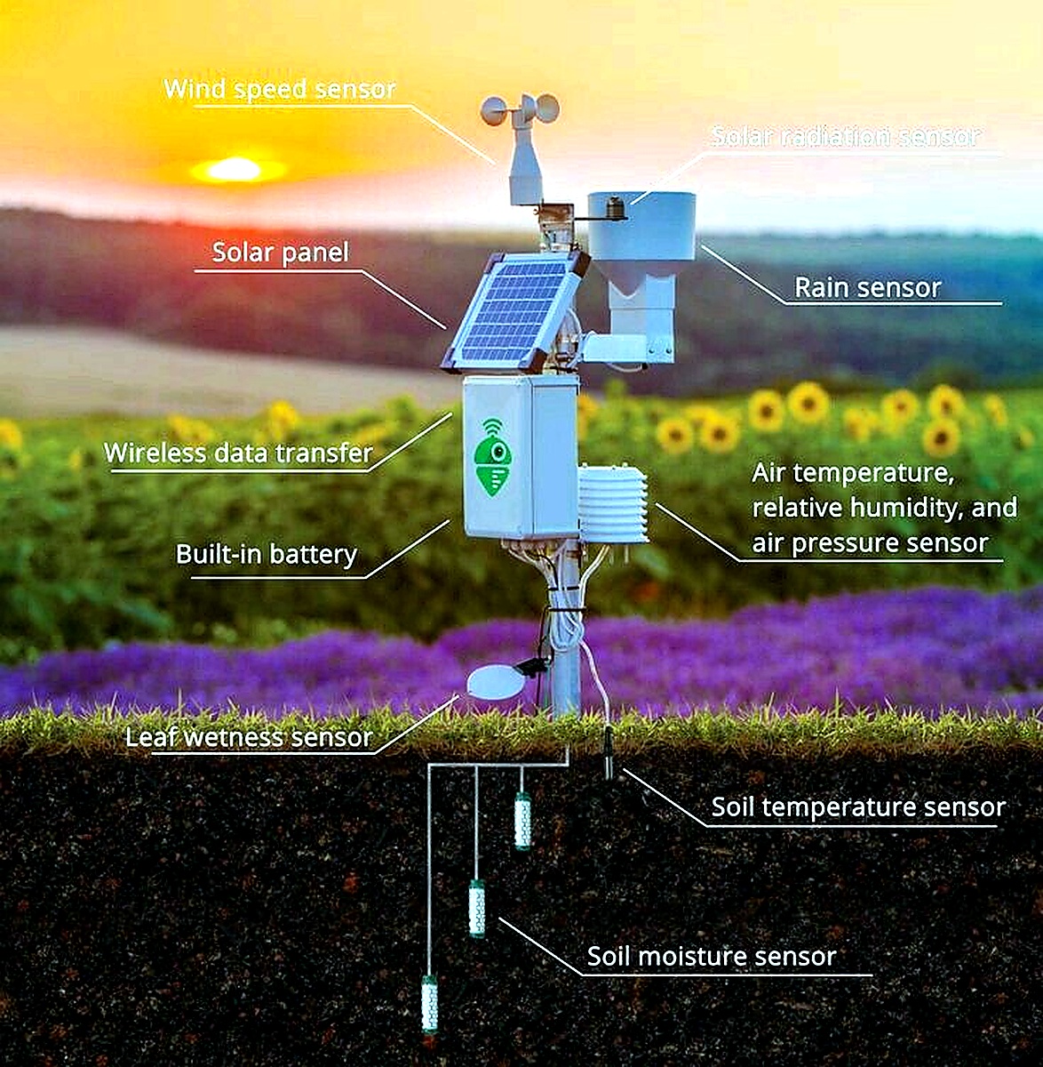 Soil moisture sensor diagram
